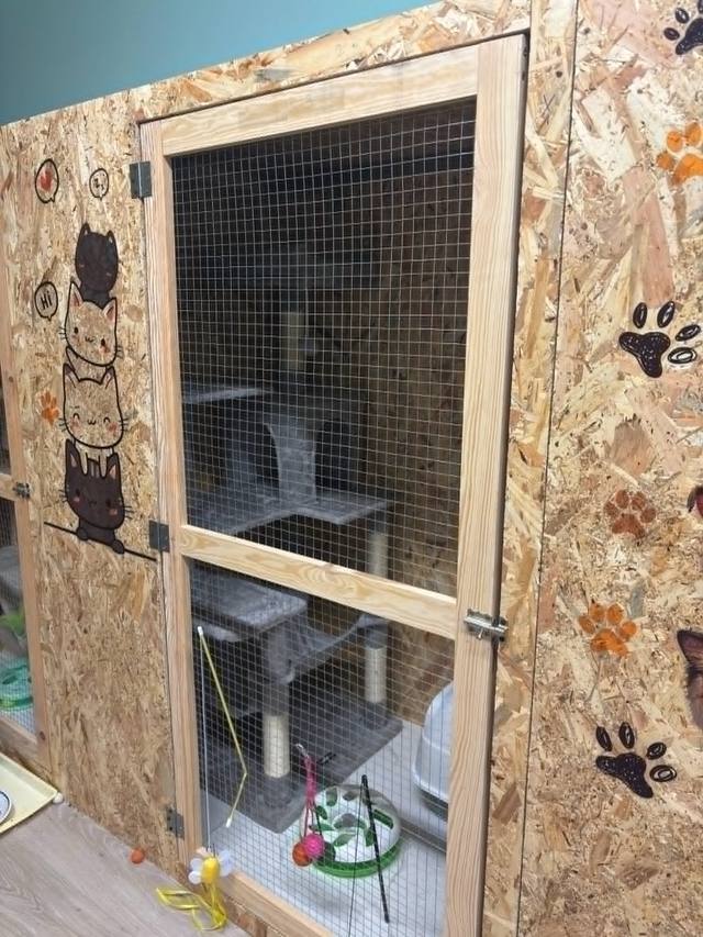 Kennel cicamászókával