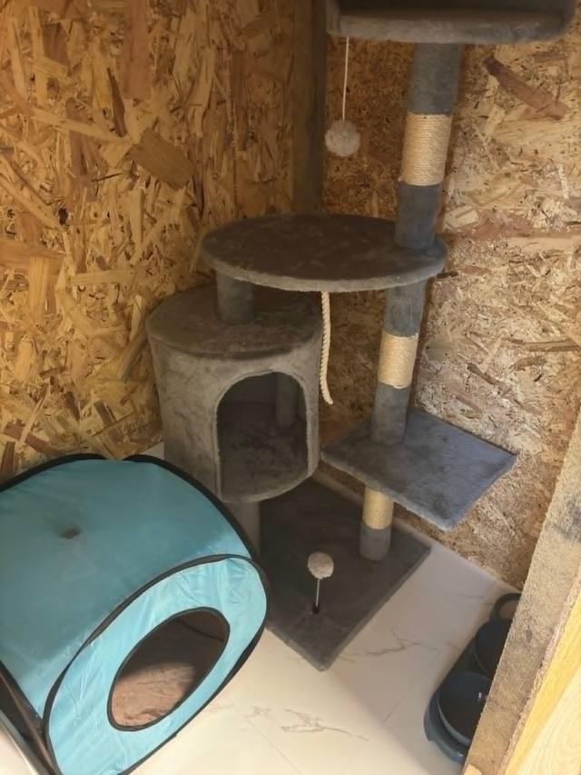 Kennel belülről